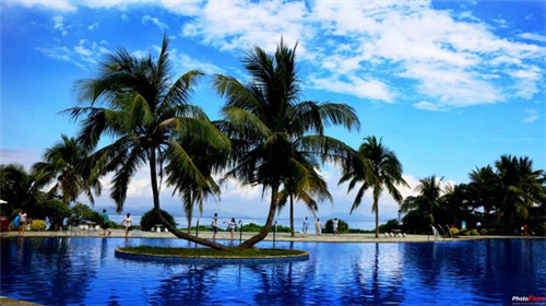 志瑞祥加州牛肉面