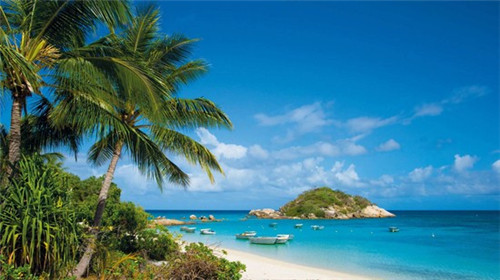 加盟观塘披萨有哪些优势，2025加盟披萨行业好不好做