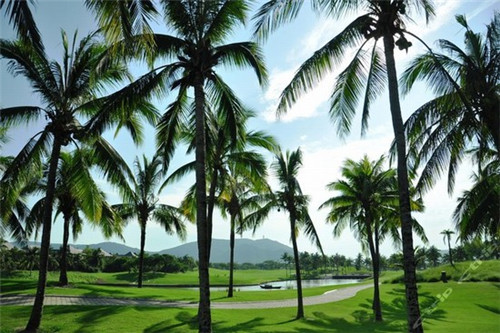 顾大妈酸辣粉加盟这个品牌怎么样