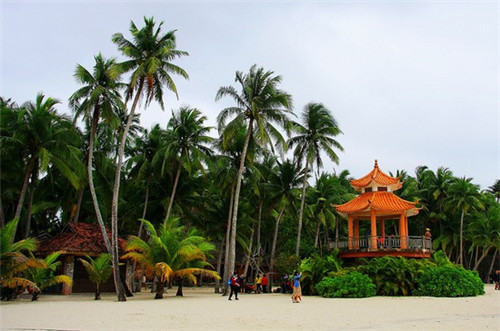 第一佳大鸡排有多少家分店