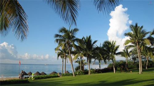 奇异果不能投抖音吗（奇异果投屏只能用爱奇艺吗）