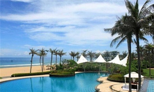 刷玫瑰花的跳舞小游戏叫什么（口含玫瑰花怎么跳舞）